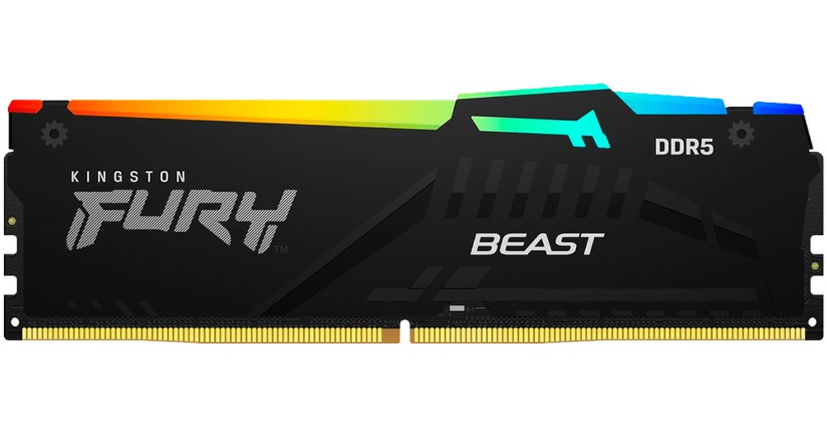 Kingston Fury Beast RGB KF556C36BBEA-32 (1 x 32 GB | DIMM DDR5-5600 ...